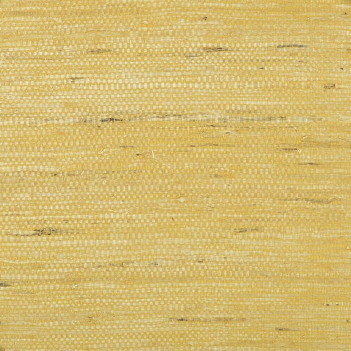 Brunschwig & Fils Kochi Gold Wallpaper Sample P8015146.4.0