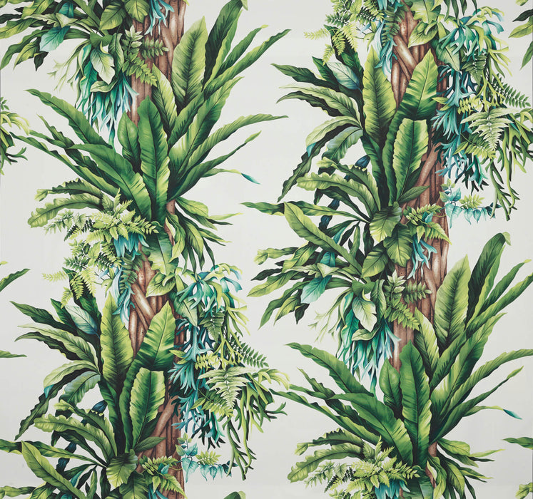 Pierre Frey Pachira Blanc Fabric Sample F3368002