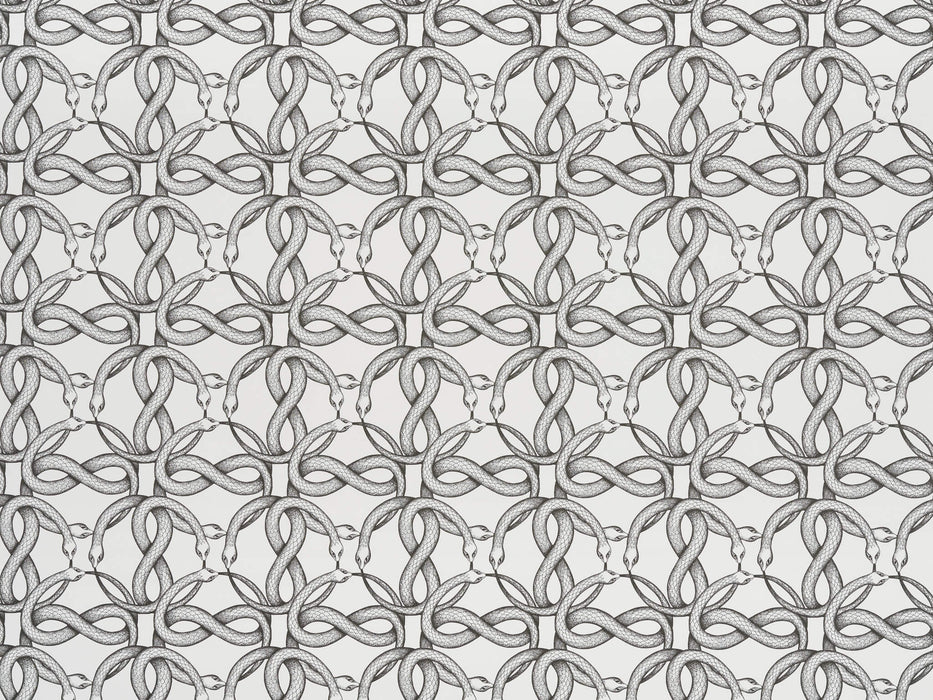 Pierre Frey Ouroboros Noir Wallpaper Sample FP550001