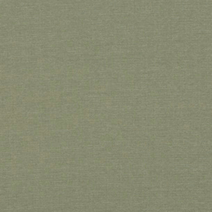 Baker Lifestyle Lansdowne Fern Fabric Sample PF50413.775.0