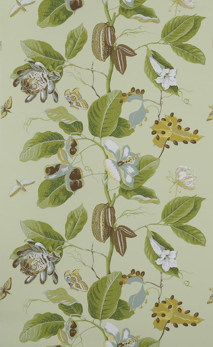 Boussac Wallpaper Sample Nakai Pistacchio Wallpaper Sample W4864006