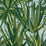 Pierre Frey Agaves Tropical Wallpaper Sample FP785002