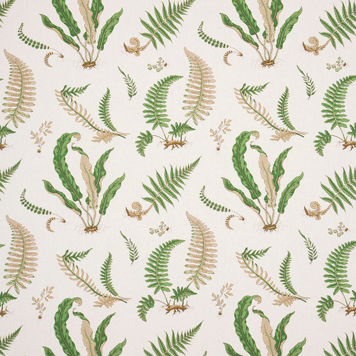 GP & J Baker Ferns Linen Stone/Green Fabric Sample R1324.01.0