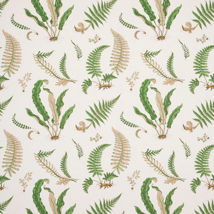 GP & J Baker Ferns - Linen Stone/Green Fabric Sample R1324.1.0