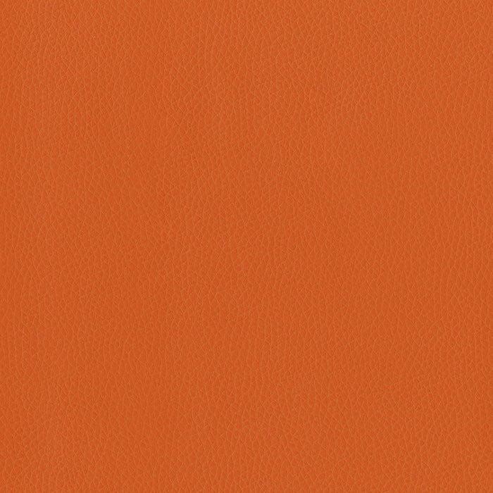 Brentano Triton Clementine Fabric Sample 6823-09