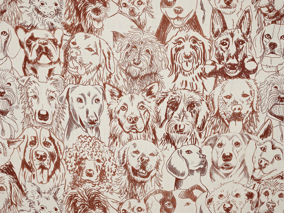 Pierre Frey Designer Dogs Cappuccino Fabric Sample F3552002