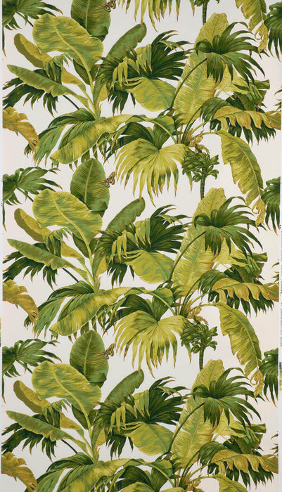 Boussac Bananier Olive Wallpaper W4630A03