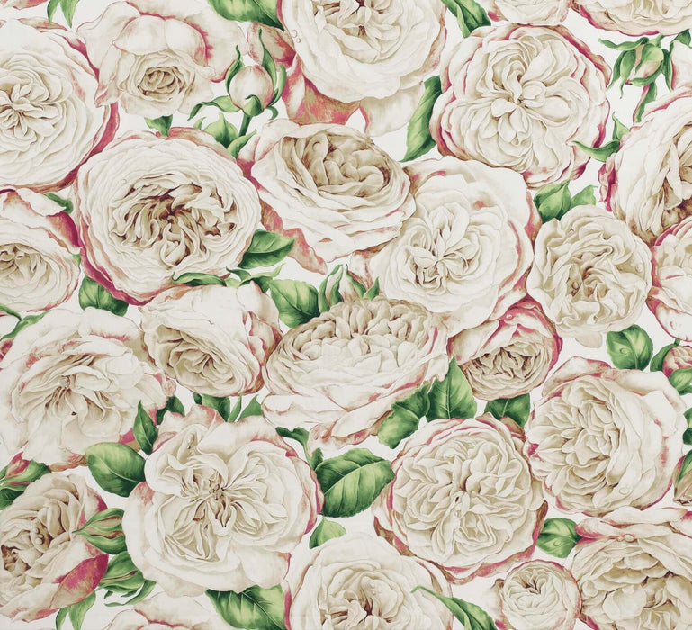 Pierre Frey Roses Anciennes Nacre Fabric F2728002