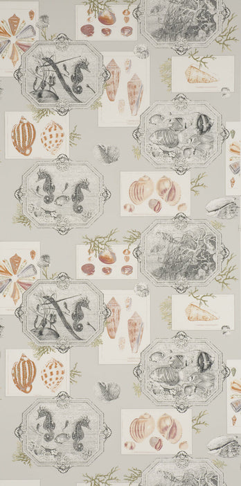 Pierre Frey Aquarius Stone Wallpaper FP193001