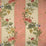 Colony Villa Lante Stripe Multi On Rose Fabric Sample CL 000626401