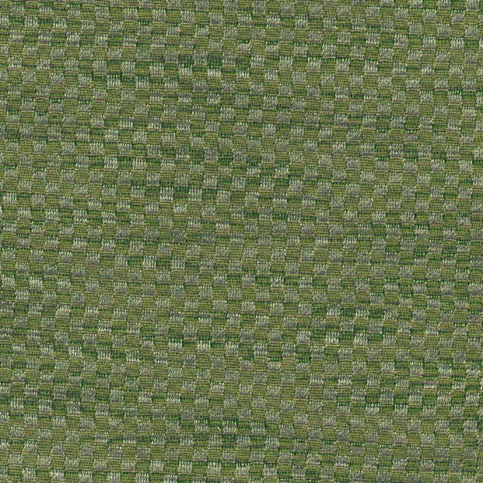 Colony Rice Bean Olive Green Fabric Sample CL 004026609