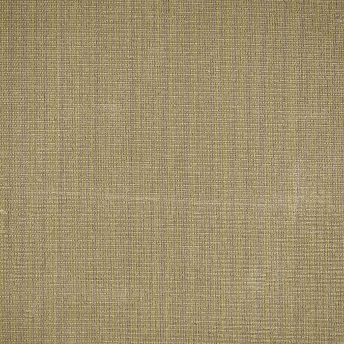 Colony Zerbino Grey Green Strie Fabric Sample CL 000126693