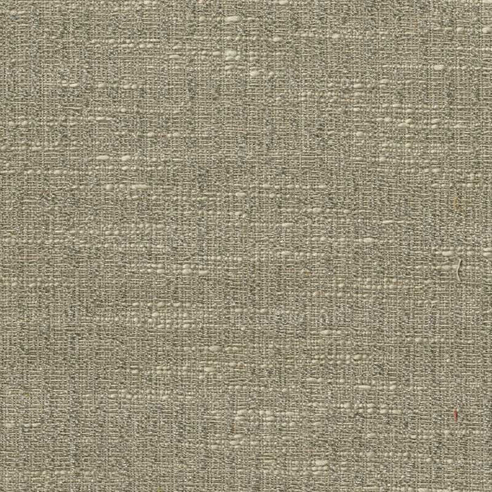 Colony Ceylon Unito Grey Fabric Sample CL 001326708