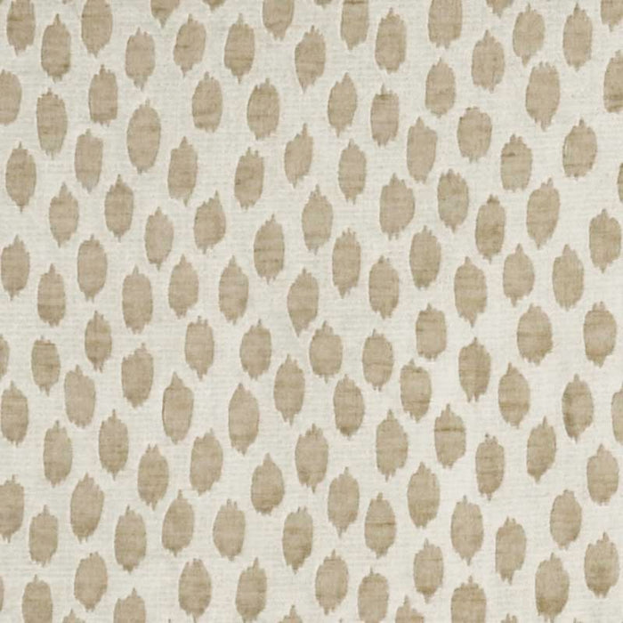 Colony Savanna White Brown Fabric Sample CL 000426806