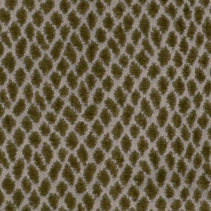 Colony Iguana Peltro Fabric Sample CL 000626841