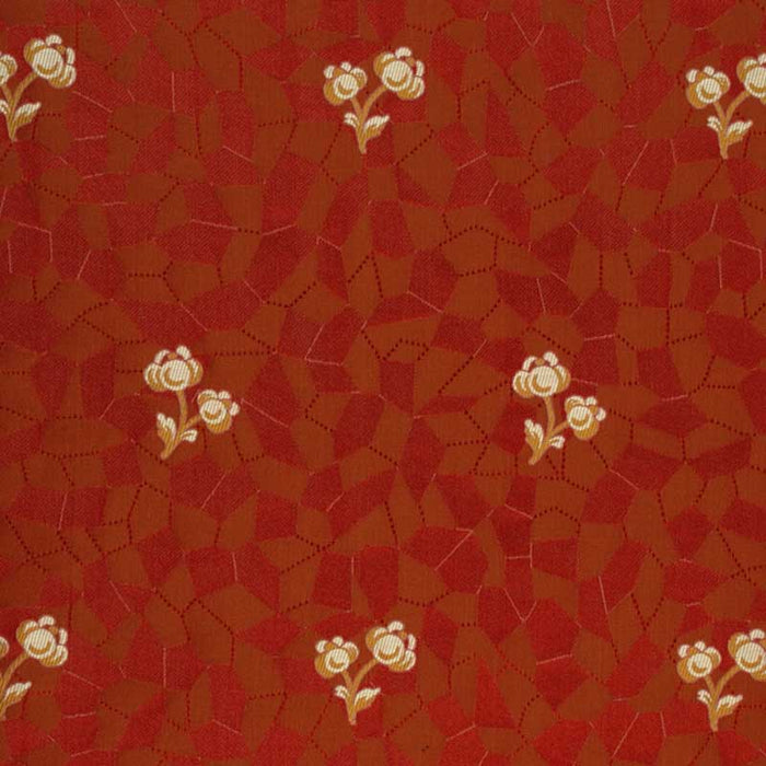 Colony Re Sole Coordinato Rubino Fabric Sample CL 000426917