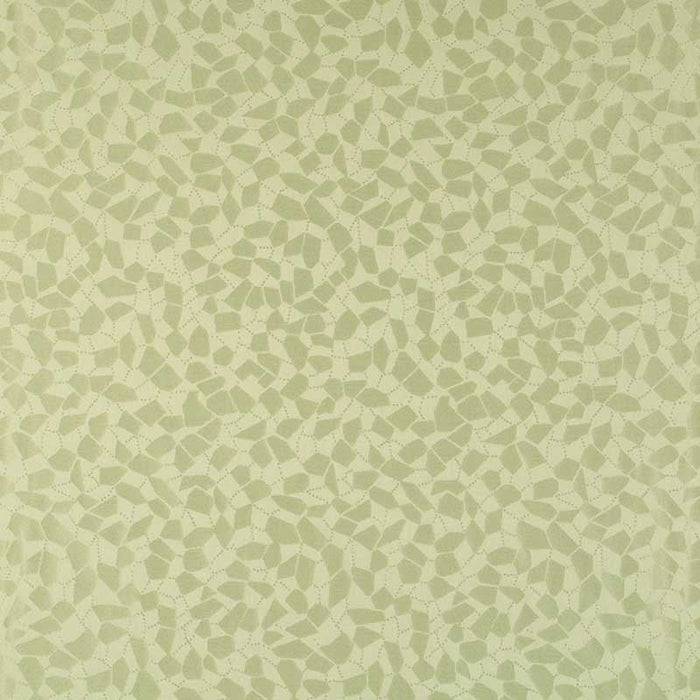 Colony Re Sole Coordinato Piccolo Avorio Fabric Sample CL 000126919