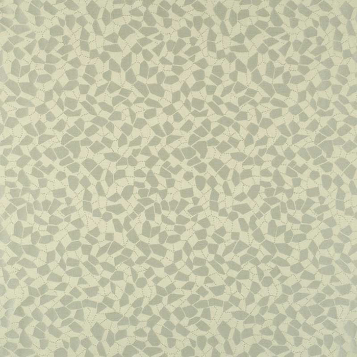 Colony Re Sole Coordinato Piccolo Argento Fabric Sample CL 000326919