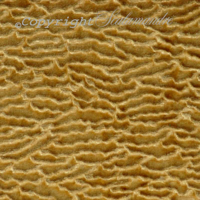 Colony Astrakhan Gold Fabric Sample CL 001236280