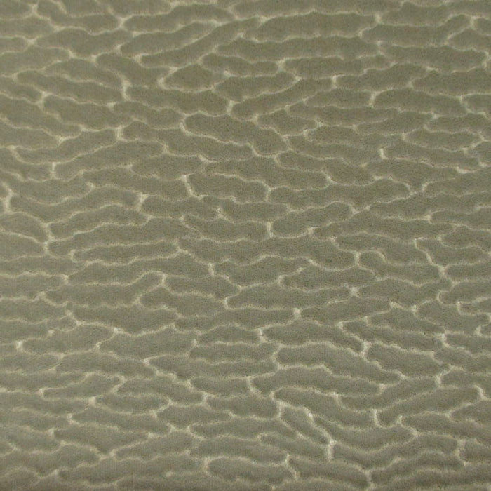 Colony Eracle Goffrato Elefante Fabric Sample CL 002336407