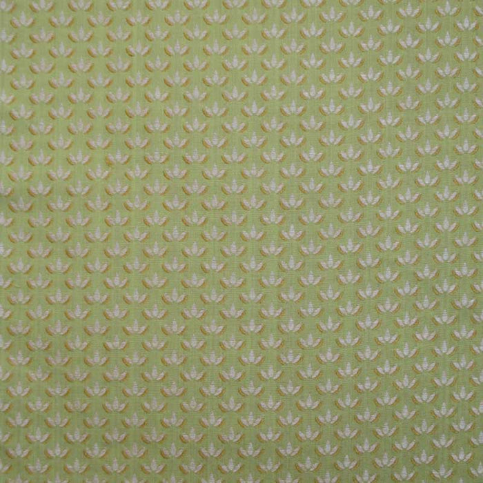 Colony Ninfa Trellis Verde Fabric Sample CL 000936418