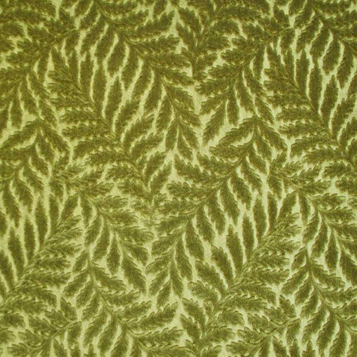 Colony Canova Fougere Verde Fabric Sample CL 001136423