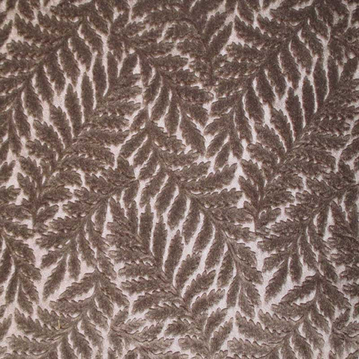 Colony Canova Fougere Corteccia Fabric Sample CL 001236423