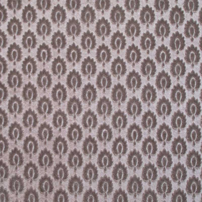 Colony Canova Semis Tortora Fabric Sample CL 000336424