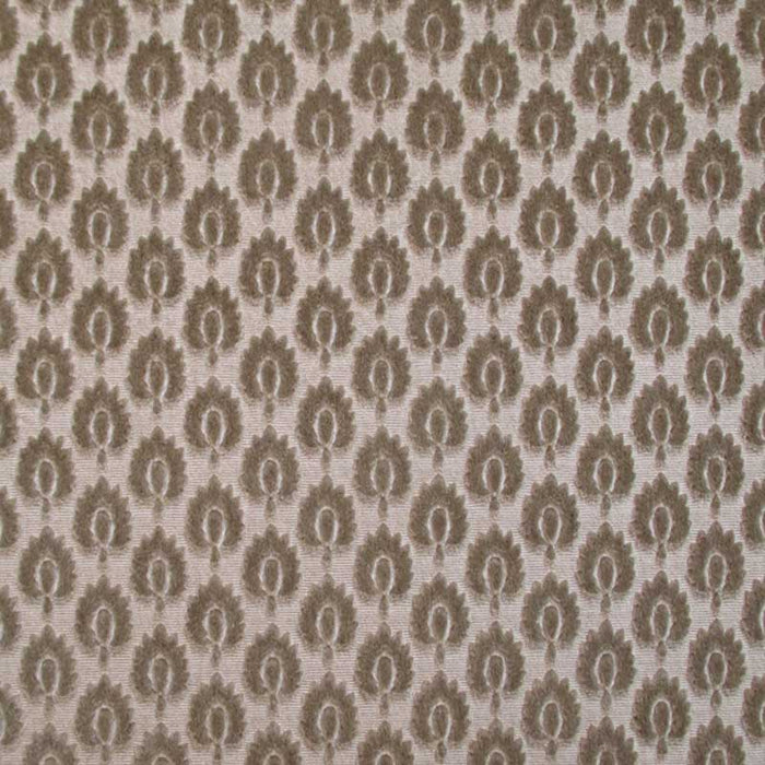 Colony Canova Semis Antilope Fabric Sample CL 000536424