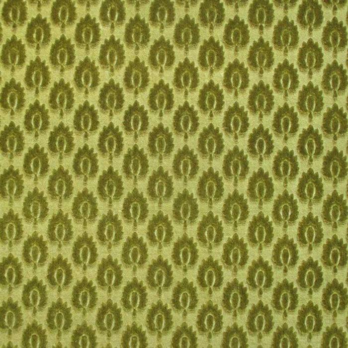 Colony Canova Semis Verde Fabric Sample CL 001136424