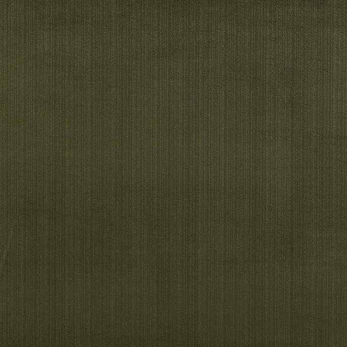 Templeton River Velvet Fern Fabric T1010-02