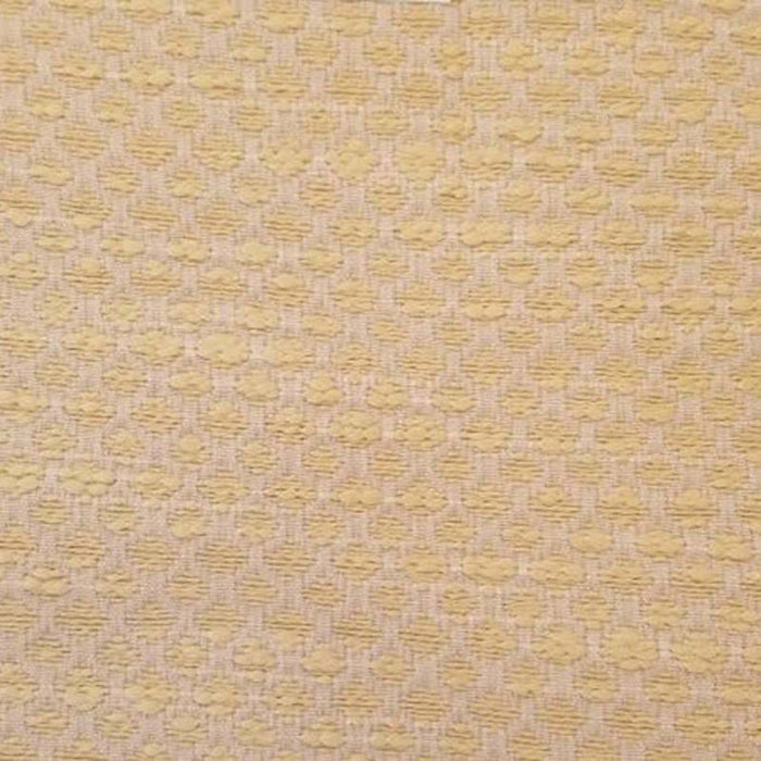 Templeton Maracay Cream Fabric Sample T1046-01