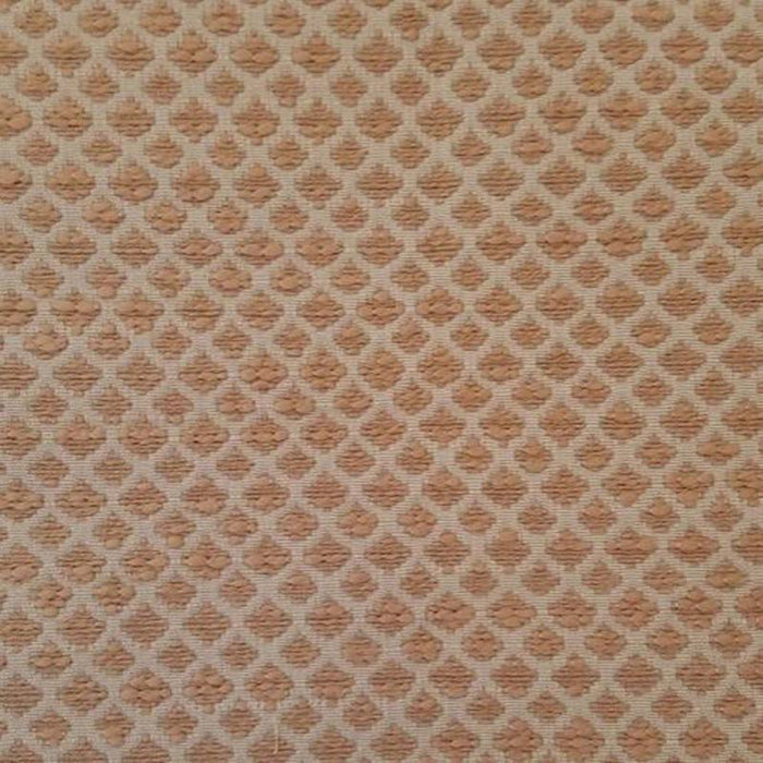 Templeton Maracay Tan Fabric Sample T1046-02