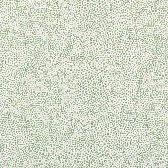 Templeton Dottie Evergreen Fabric Sample T3004-02