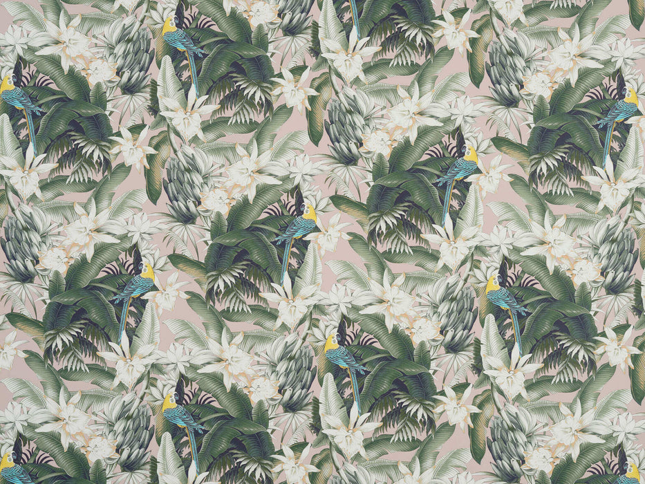 Pierre Frey Vahine Petrole Wallpaper Sample FP540002