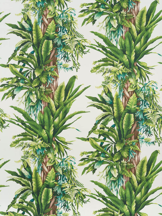 Pierre Frey Pachira Blanc Wallpaper Sample FP548001