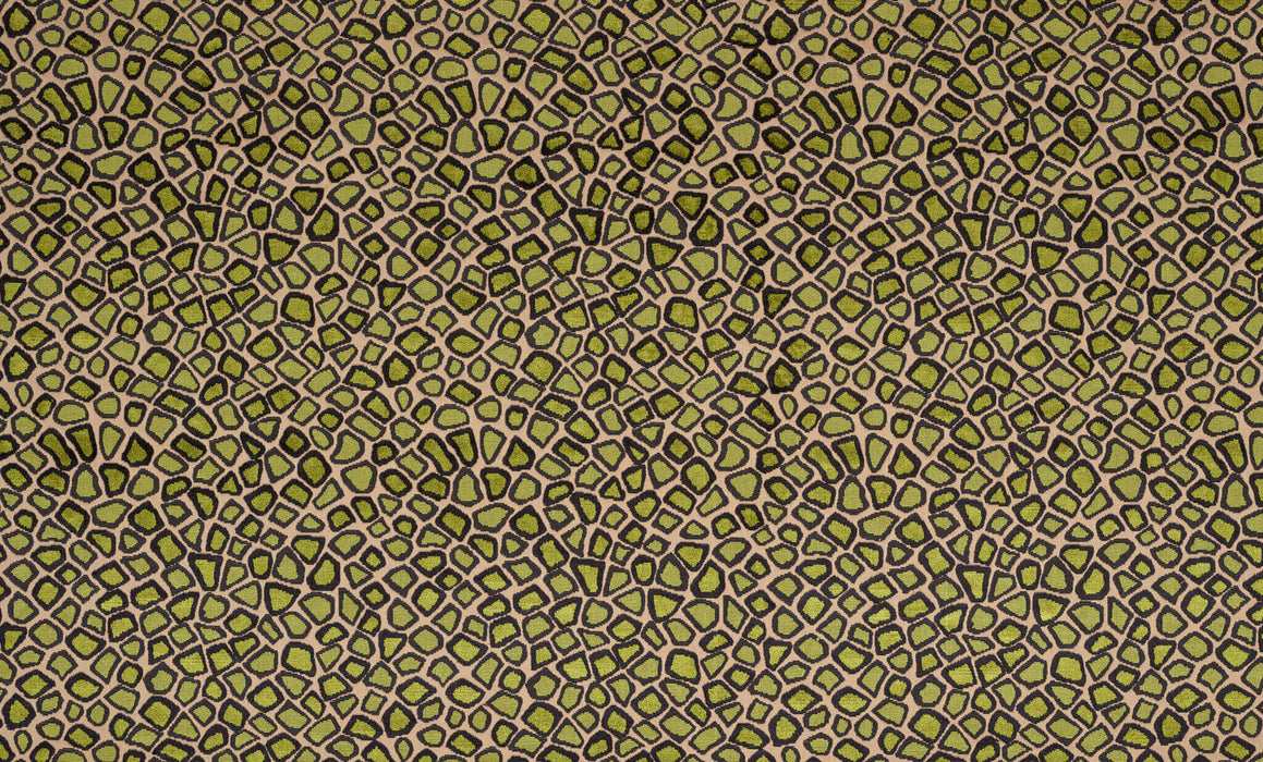 Pierre Frey Abadan Lezard Fabric F3466005