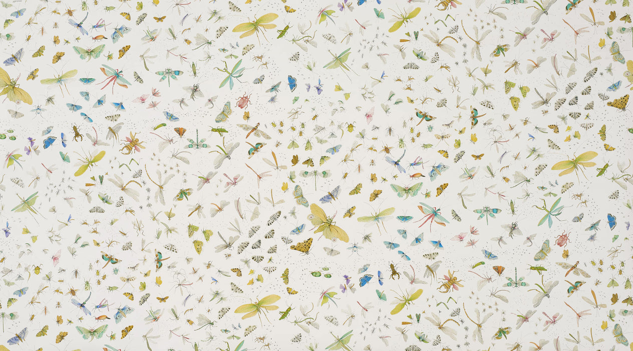 Pierre Frey La Serre Aux Papillons Printemps Wallpaper Sample FP583001