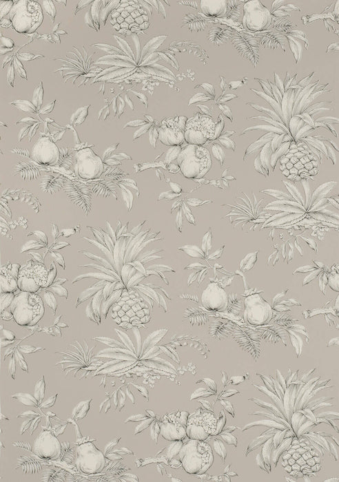 Boussac Dandy Black Wallpaper Sample W4764006