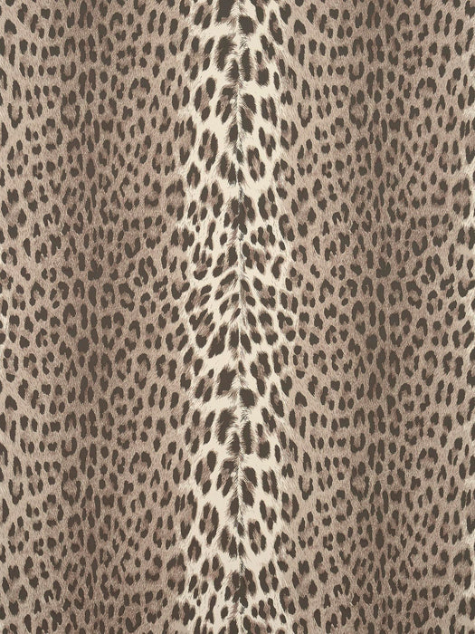 Pierre Frey Panthera Sable Wallpaper Sample FP953001