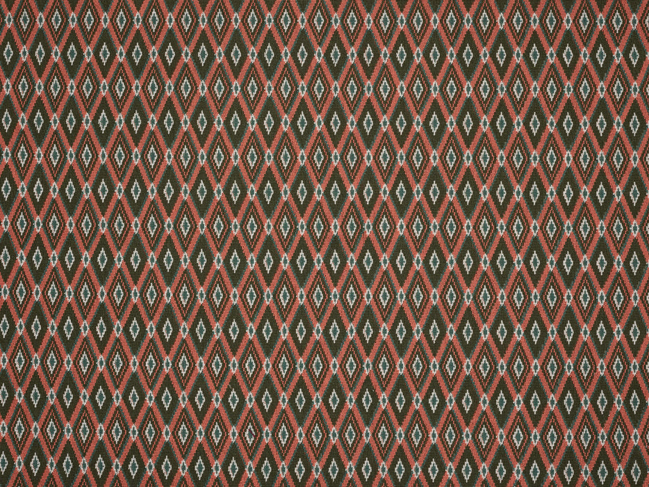 Braquenie Aristote Goyave Fabric Sample B7641003