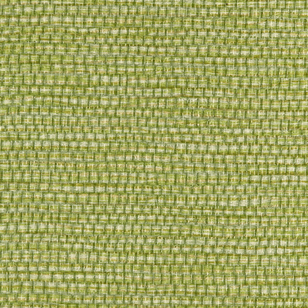 Winfield Thybony Panama Envy Wallpaper Sample WPW1146.WT.0