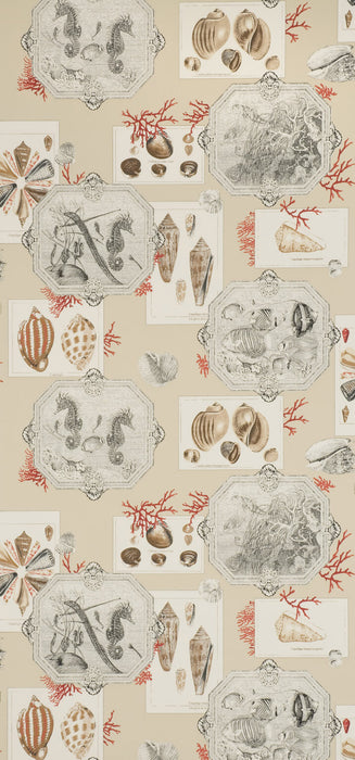 Pierre Frey Aquarius Sand Wallpaper FP193002