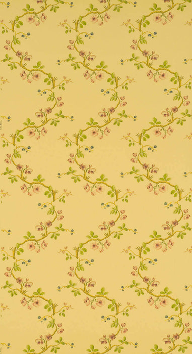 Pierre Frey Sans Papillons Jaune Wallpaper FP168002