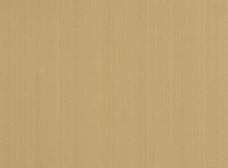 Pierre Frey Zia Dune Wallpaper Sample FP405013