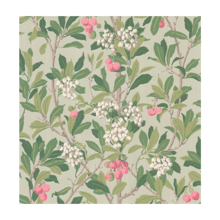 Cole & Son Strawberry Tree Pink & Duck Egg Wallpaper 100/10048.CS.0