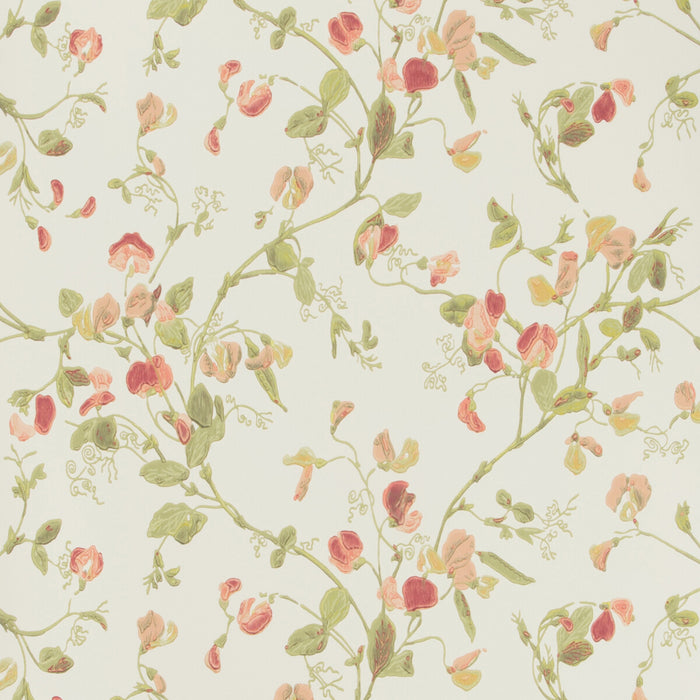 Cole & Son Sweet Pea Pink Wallpaper 100/6028.CS.0