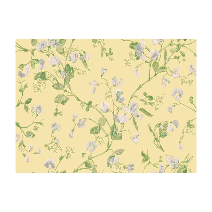 Cole & Son Sweet Pea Yellow Wallpaper 100/6029.CS.0