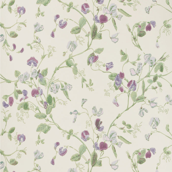 Cole & Son Sweet Pea Violet Wallpaper 100/6030.CS.0