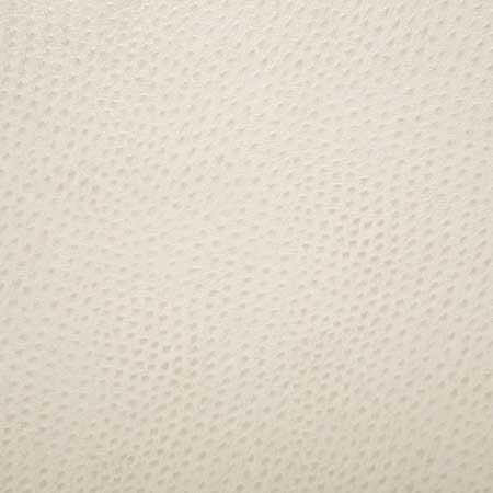 Pindler Outback Bisque Fabric 1014